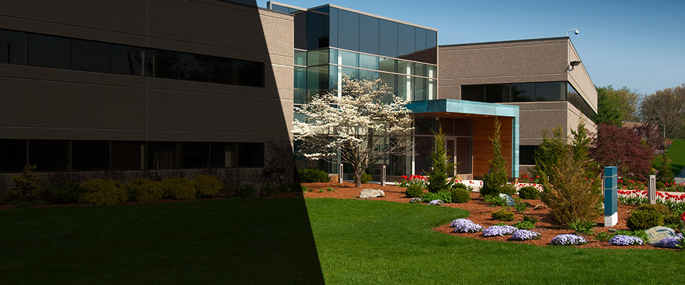 Saint Thomas Landscapers