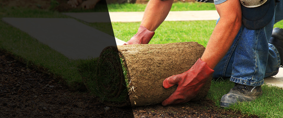 Saint Thomas Landscapers